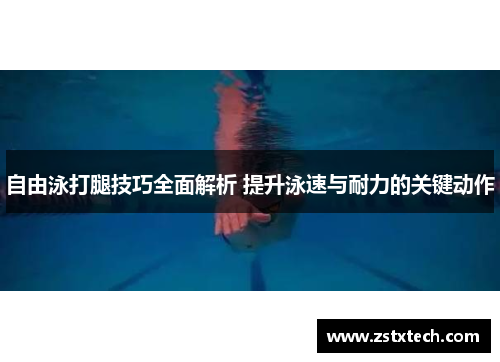 自由泳打腿技巧全面解析 提升泳速与耐力的关键动作