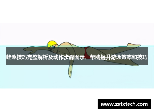 蛙泳技巧完整解析及动作步骤图示，帮助提升游泳效率和技巧